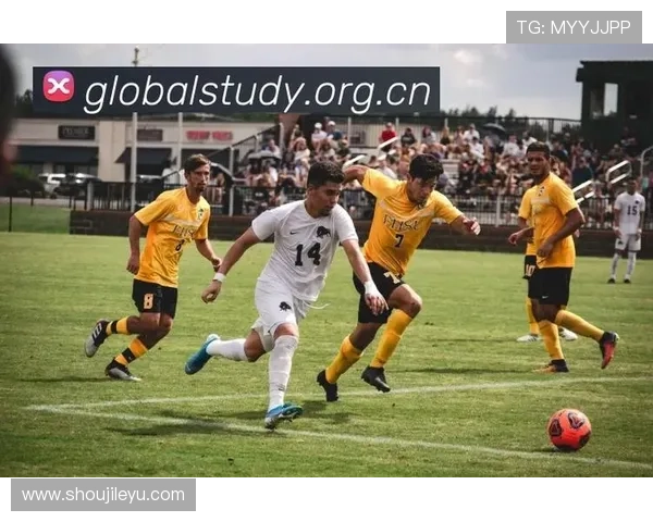 乐鱼体育体育赛事直播页面解析,乐鱼体育app官网首页赛事安排与精彩预告