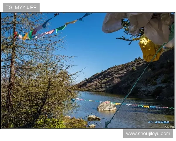 乐动体育:建立科学的运动评估体系,帮助青少年科学规划运动目标与成长路径