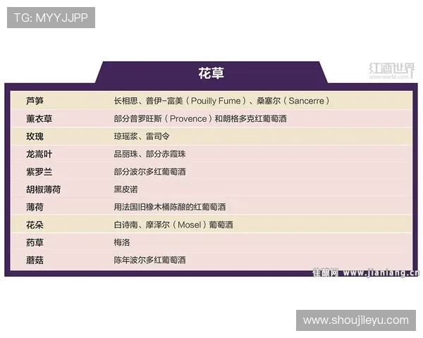 乐鱼体育滚球盘让你轻松掌握比赛动态实现精准投注