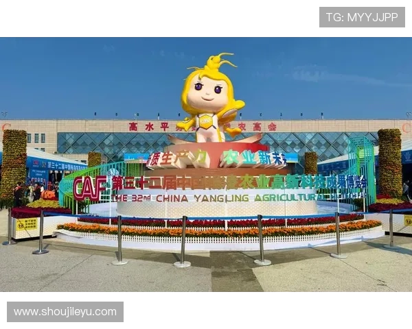 乐鱼登录平台官网——优质的客户服务与在线帮助中心介绍